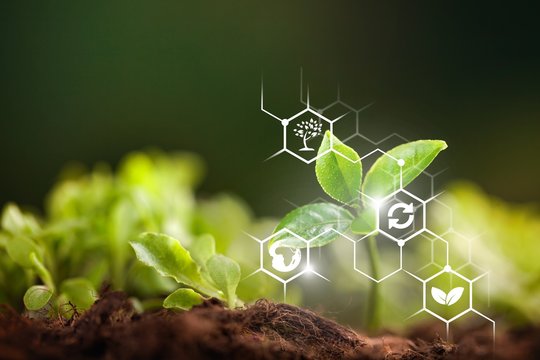 Tea saponin powder manufacturer Tea saponin powder manufacturer