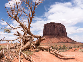 natura morta nel deserto della monument valley