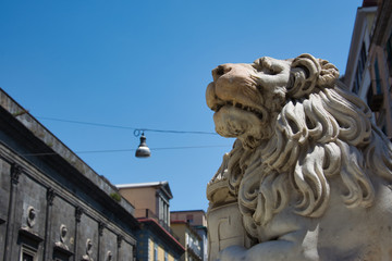 Lion's Head. Naples, Italy