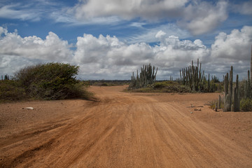 Washington Slagbaai National Park, Bonaire