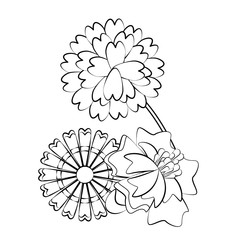 flower nature floral decoration cartoon in black and white