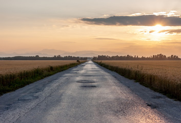 damaged asphalt road to horizon between wheat fields