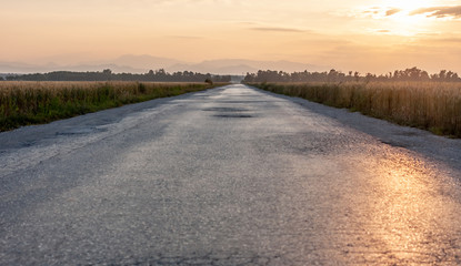 damaged asphalt road to horizon between wheat fields