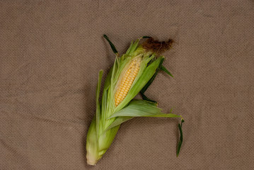 Yellow sweet raw corn with opened green leaves on a package on a textile background close-up.