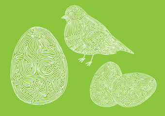 Linearny ptak i jajka