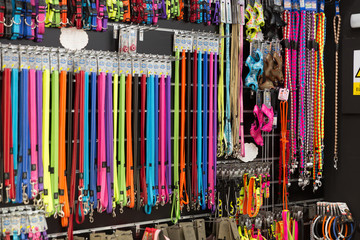 Different colorful leashes and other goods in pet shop