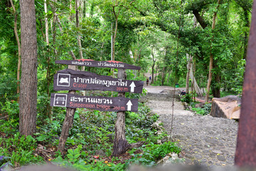 Signpost in the Khao Kradong forest park is locatd in Buriram, Thailand.The surrounding forest is home to small wild animals, especially various bird species and indigenous plants and trees.