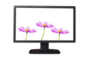 monitor with flowers and leaves