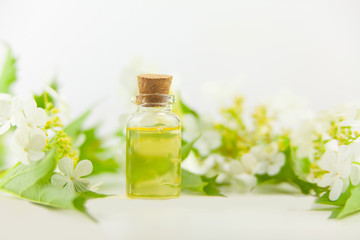 Essence of flowers on  white background in  beautiful glass jar