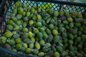 beautiful ripe and juicy feijoa on  green background