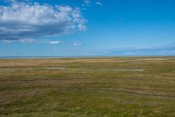 Fototapeta premium salt-meadow on island of Nyord in Denmark