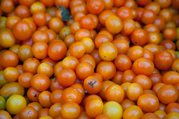 Golden cherry tomatoes for sale