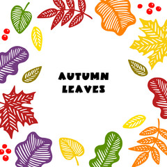 Hand drawn vector autumn leaves set