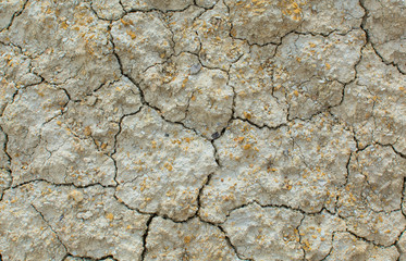 Texture of the earth. Natural texture. Natural background. Cracked earth