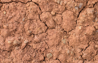 Texture of the earth. Natural texture. Natural background. Cracked earth