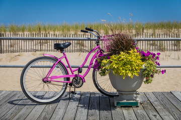 Fototapeta na wymiar Pink bicycle on boardwalk with potted flower plant on a bright summer day