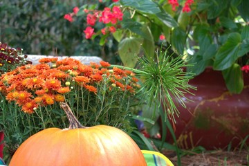 Fototapeta na wymiar pumpkin and autumn leaves