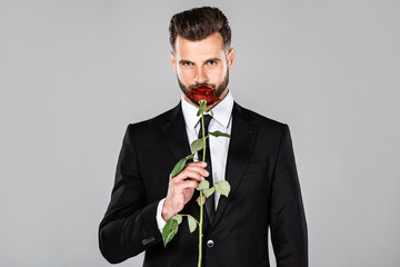 elegant handsome businessman in black suit smelling red rose isolated on grey