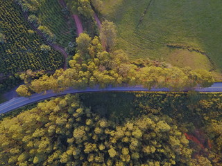 DCIM\100MEDIA\DJI_0859.JPG