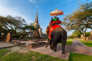 Foreign tourists Elephant ride to visit Ayutthaya, There are ruins and temple in the Ayutthaya period.Concept is Travel in temple phar sri sanphet.