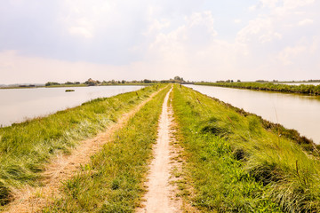 Landscape The Po Delta