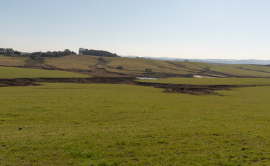 Fototapeta premium Farms in southern South America 02