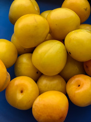 close up of yellow plums in a blue bowl