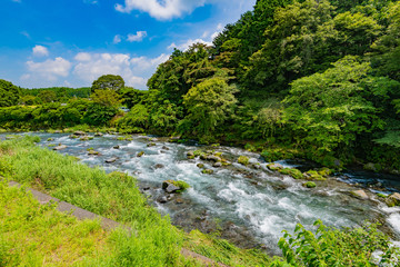 Fototapeta na wymiar 静岡県富士宮市　音止の滝につながる清流