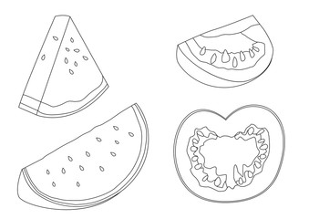 Line  watermelon and Tomato on white background  illustration vector 