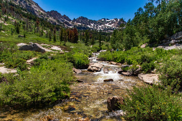 Cascades of Lamoille Creek and The Ruby Mountains
