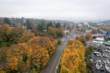 Aerial view of Seattle landscape during fall