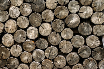 the texture of the wall of round logs stacked on top of each other