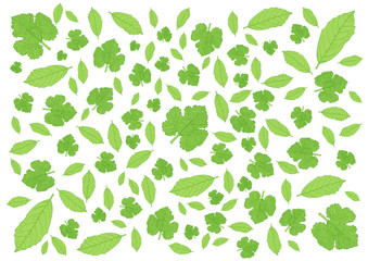 Leaves Green pattern on white background illustration and many leaves fresh 
