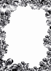 花のグラフィックスフレーム