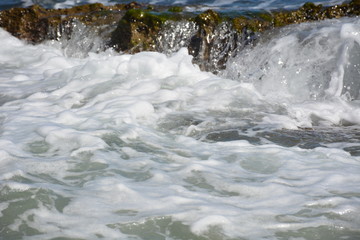 Coral Reef Ocean Foam