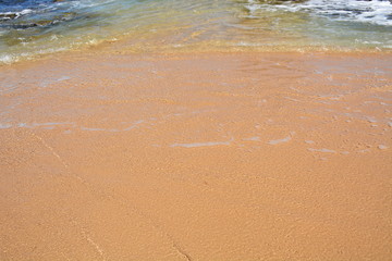 Sandy Ocean Shore