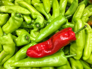 A lot of paprika on sale at farms market. Top view