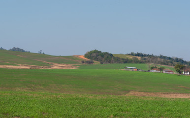 Obraz premium The road on the farm horizon