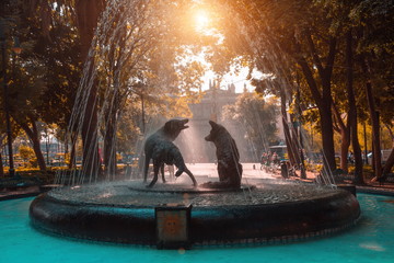Drinking coyotes statue and fountain in Hidalgo Square in Coyoacan
