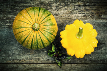 Pumpkin and pattypan