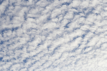 In the morning with the sky and blue clouds, the blue sky background with small clouds, Altocumulus clouds in the sky