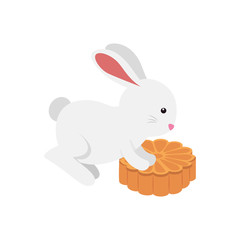cute and little rabbit with flower wooden