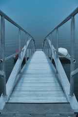 Obraz premium Outside nature photo featuring walkway leading to a dock that is peaceful.