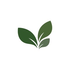 Leaf logo vector icon illustration