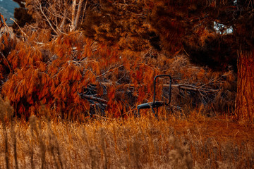 old broken chair abandoned in field