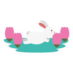 cute and little rabbit in roses garden scene