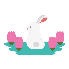 cute and little rabbit in roses garden scene