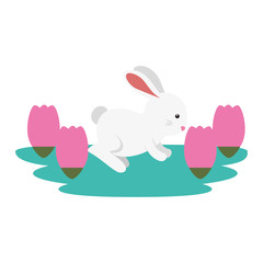 cute and little rabbit in roses garden scene