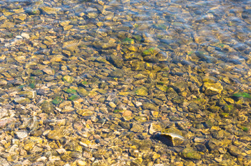 river bottom with a stone or pebble beach. mossy stones shining through a layer of river water on a bright sunny day