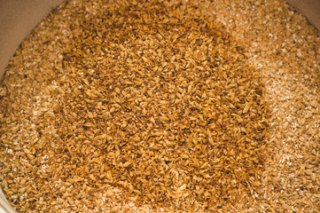 Ground caramel malt with light malt. Craft beer brewing from grain barley pale malt in process. Ale or lager from pilsner malt